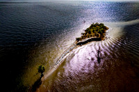 Bird Island